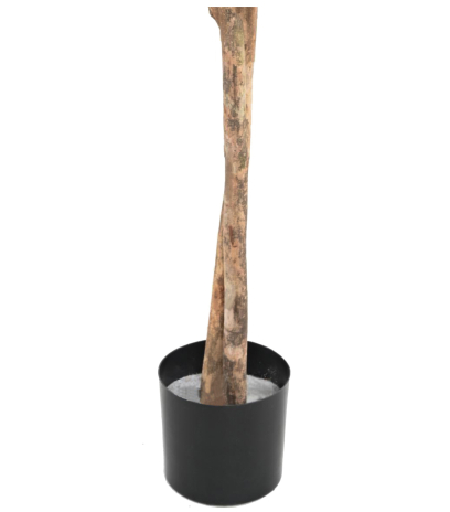 Pot