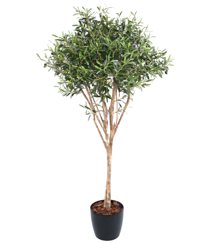 Olivier cime artificiel