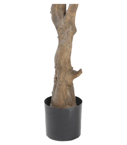 Pot