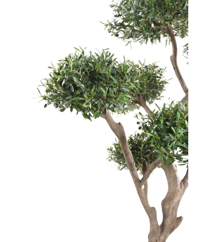 Olivier bonsaï artificiel