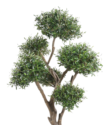 Olivier bonsaï artificiel