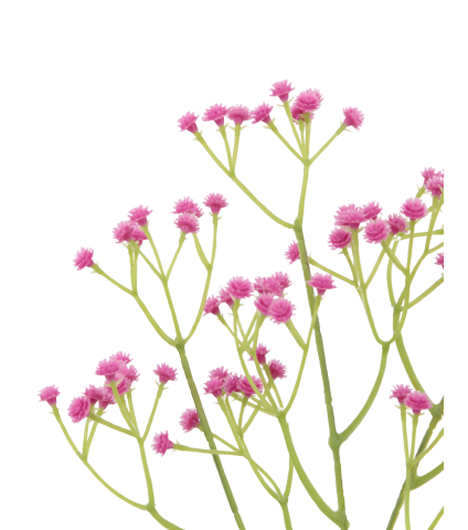 Gypsophile rose artificiel