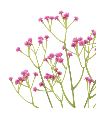 Gypsophile rose artificiel
