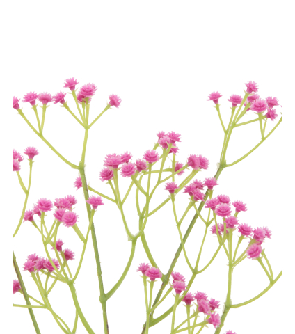 Gypsophile rose artificiel