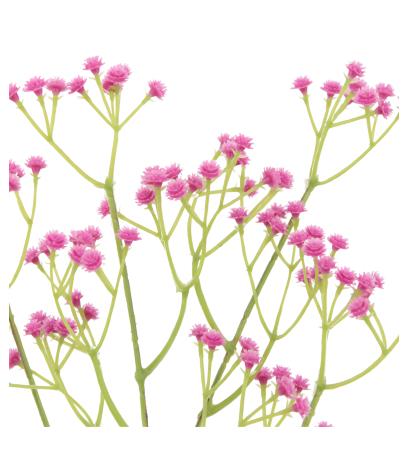 Gypsophile rose artificiel
