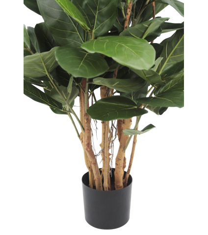 Pot