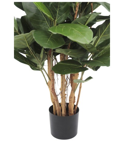 Pot
