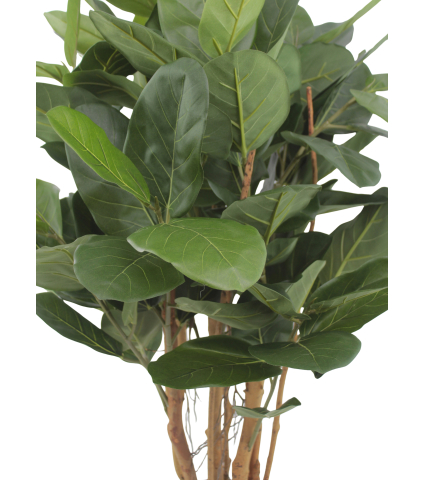 Petit ficus caoutchouc artificiel