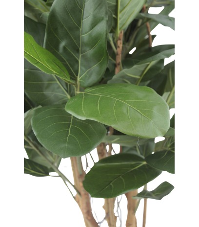Petit ficus caoutchouc artificiel