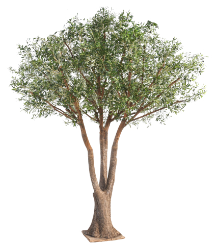 Olivier majestueux artificiel