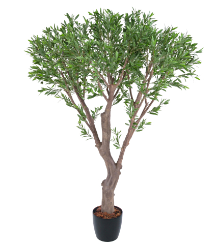 Olivier géant extérieur artificiel