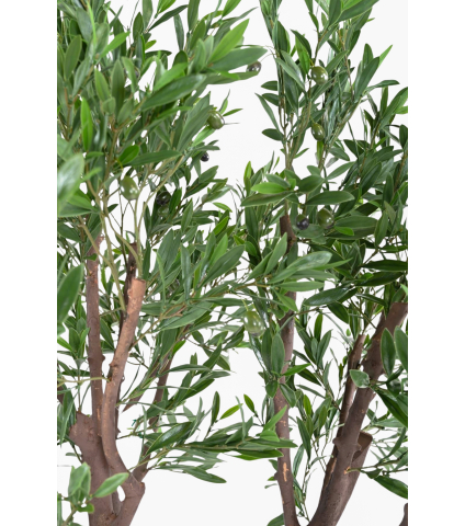 Olivier géant extérieur artificiel