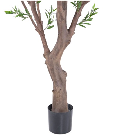 Pot