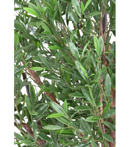 Olivier large artificiel extérieur