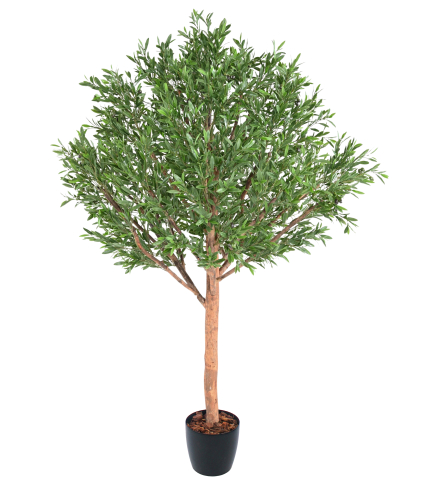 Olivier large artificiel extérieur