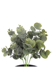 Eucalyptus artificiel cinerea