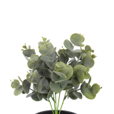 Eucalyptus artificiel cinerea