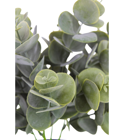 Eucalyptus artificiel cinerea