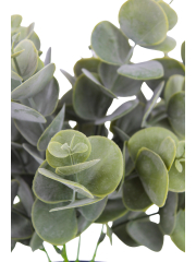 Eucalyptus artificiel cinerea