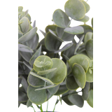 Eucalyptus artificiel cinerea