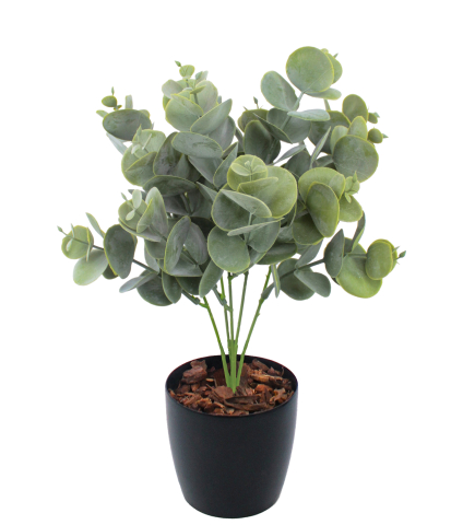 Eucalyptus artificiel cinerea