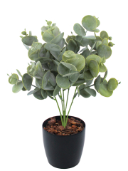 Eucalyptus artificiel cinerea