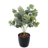 Eucalyptus artificiel cinerea