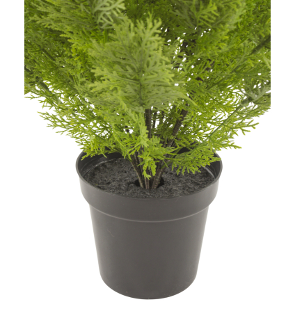 Cyprès buisson artificiel