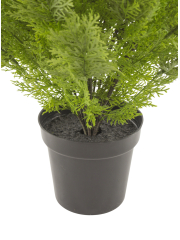 Cyprès buisson artificiel