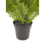 Cyprès buisson artificiel