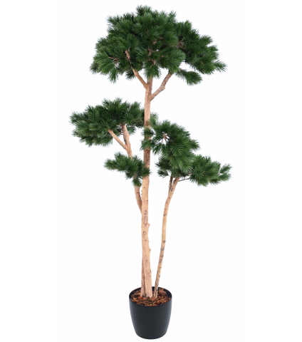 Pin artificiel à trois troncs