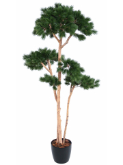 Pin artificiel à trois troncs