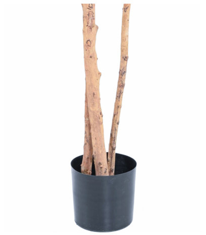 Pot