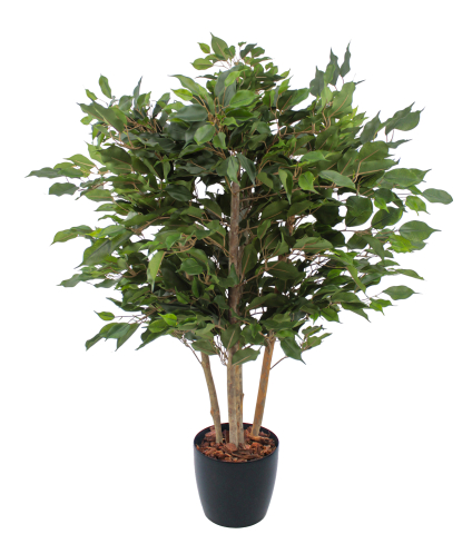 Ficus artificiel moracée