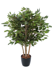 Ficus artificiel moracée