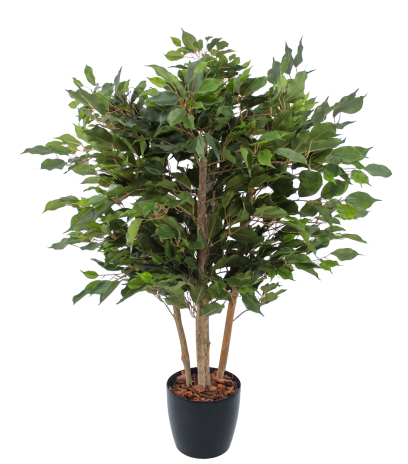 Ficus artificiel moracée