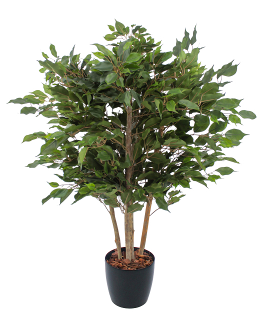 Ficus artificiel moracée