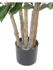 Pot