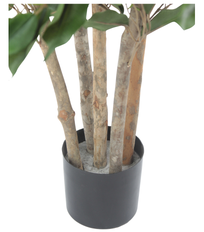 Pot