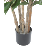 Pot