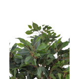 Ficus artificiel moracée