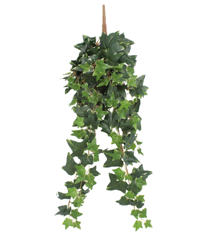 Lierre anglais artificiel panaché