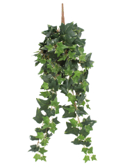 Lierre anglais artificiel panaché