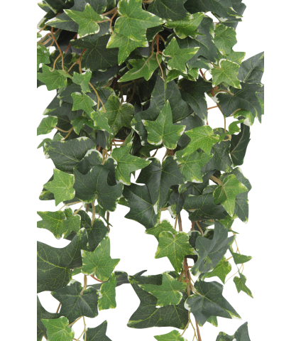 Lierre anglais artificiel panaché