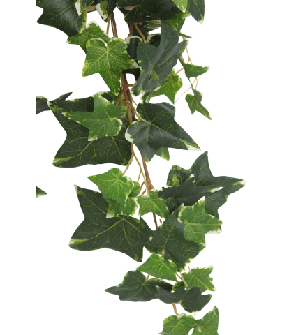 Lierre anglais artificiel panaché