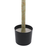 Pot
