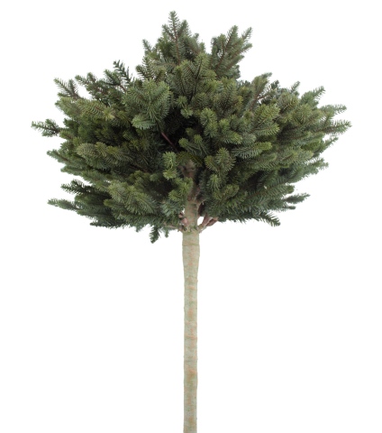 Pin artificiel boule