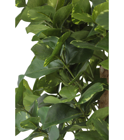 Grand clusier artificiel panaché