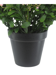 Pot