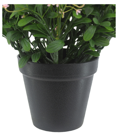 Pot